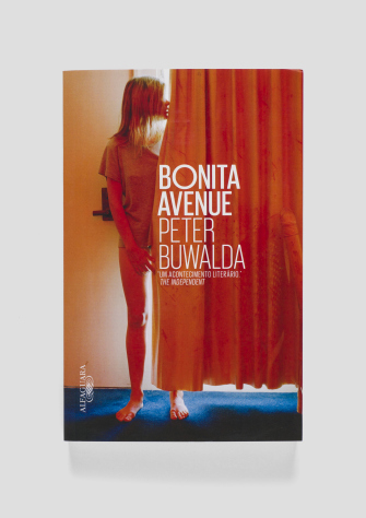 capa_Alfaguara_BonitaAvenue_01