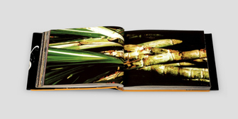 editorial_TCCDCSUFMG_Agua&Fogo_010