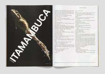 editorial_EditoraGlobo_EpocaVerao20_15