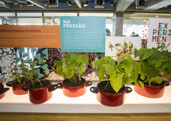 identidade_SescSP_Experimenta16