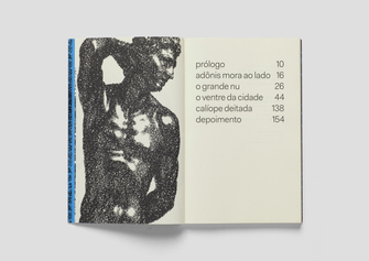 editorial_Salamandra_OGrandeNu_4